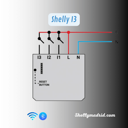 Shelly I3