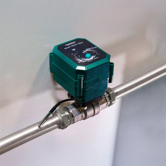 FrankEver Smart Water Valve DN20