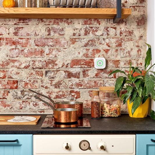 Shelly Gas CNG: Sensor Inteligente de Gas Natural