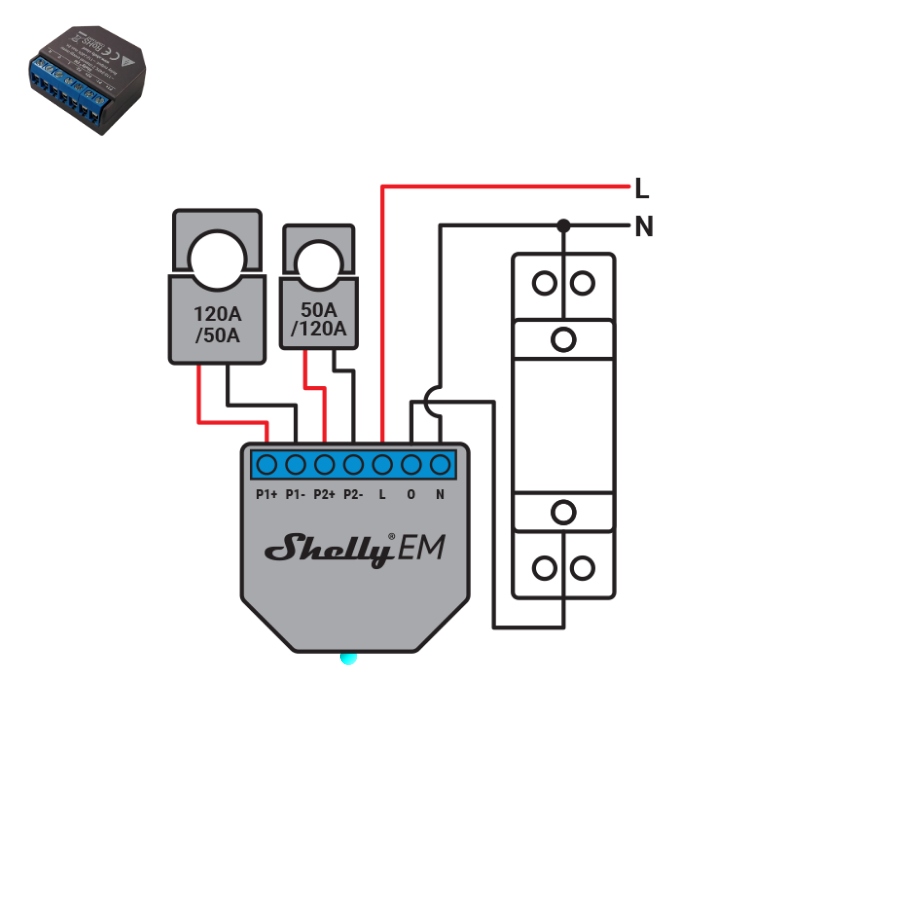 Shelly EM diagrama Shelly Madrid