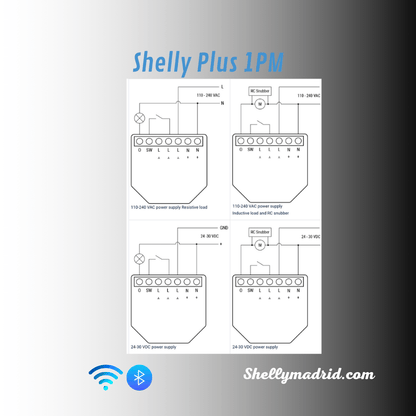 Shelly Plus 1PM