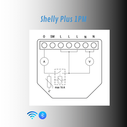 Shelly Plus 1PM