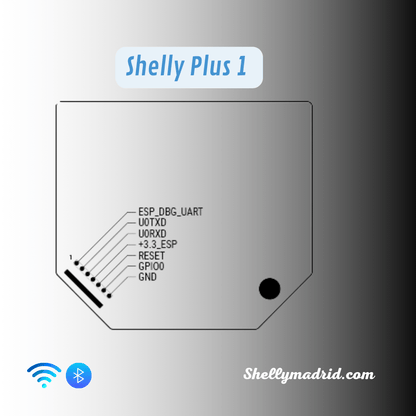 Shelly Plus 1 Relé