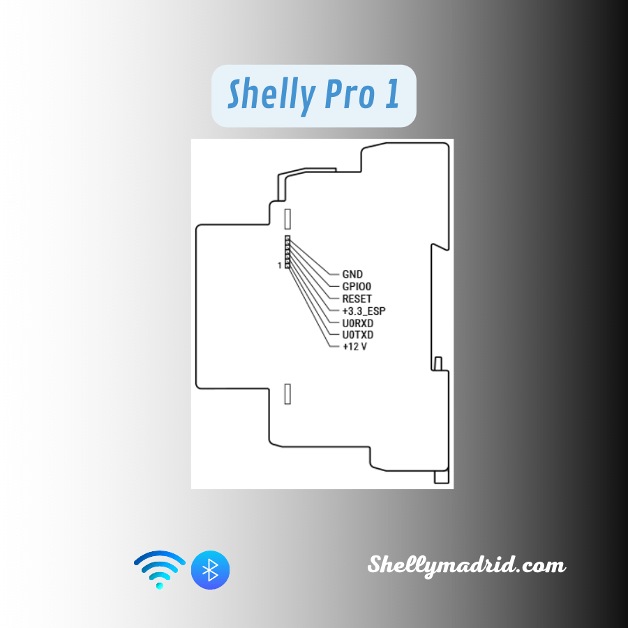 Shelly Pro 1 add-on