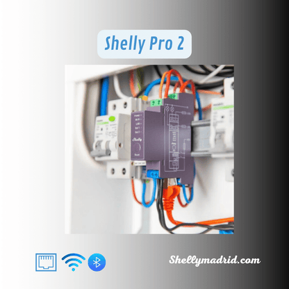 Shelly Pro 2 real mounted